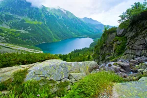 نيسان ماجنيت